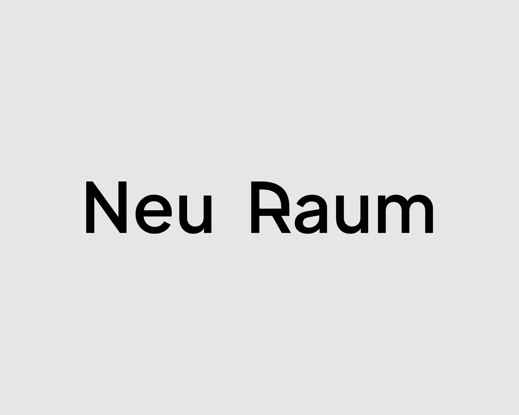 NeuRaum_Dornbirn_01 NeuRaum_Dornbirn_01