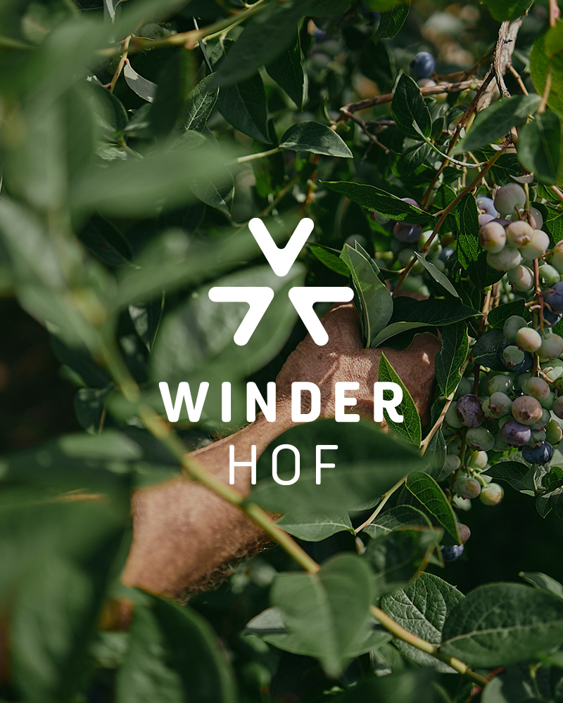 Winderbeeren_Cover